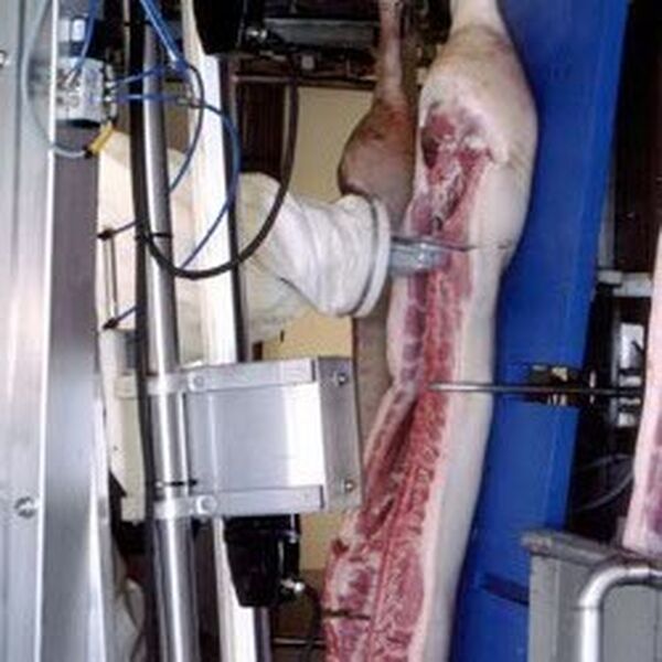KUKA_Meat_Processing_Automation.jpg #资产:623